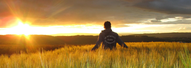 SV Rotation Halle e.V.