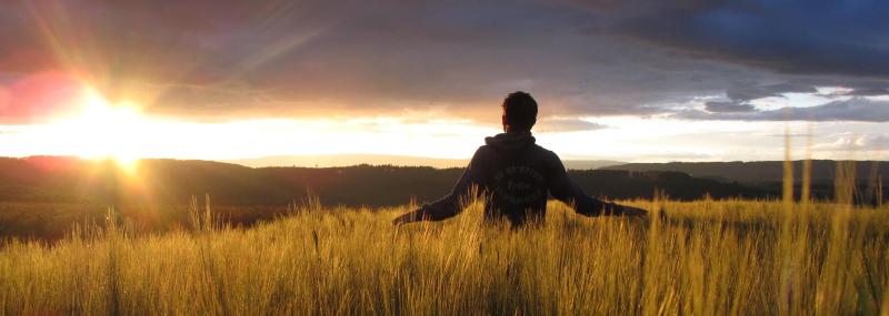 SV Rotation Halle e.V.